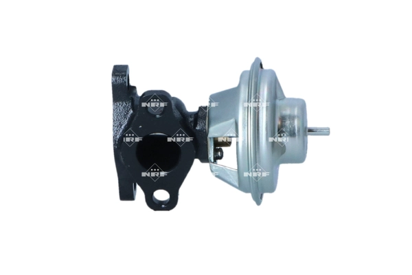 EGR Valve (WG2184496)