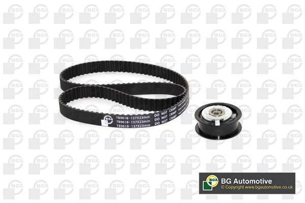 Timing Belt Kit (WG1488111)