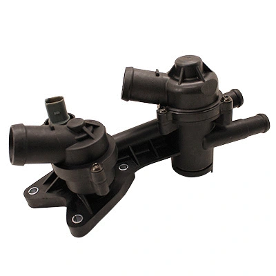 Thermostat, coolant (WG2137101)