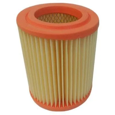 Air Filter (WG1747429)