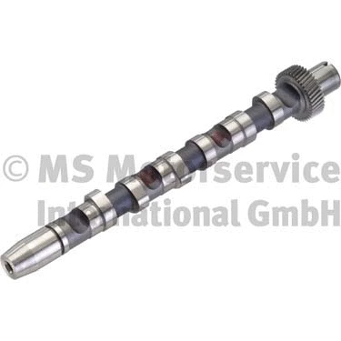 Camshaft (WG1017624)