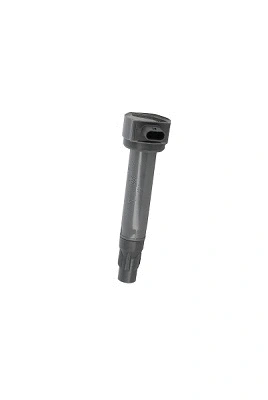Ignition Coil (WG1940709)