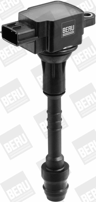 Ignition Coil (WG1487580)