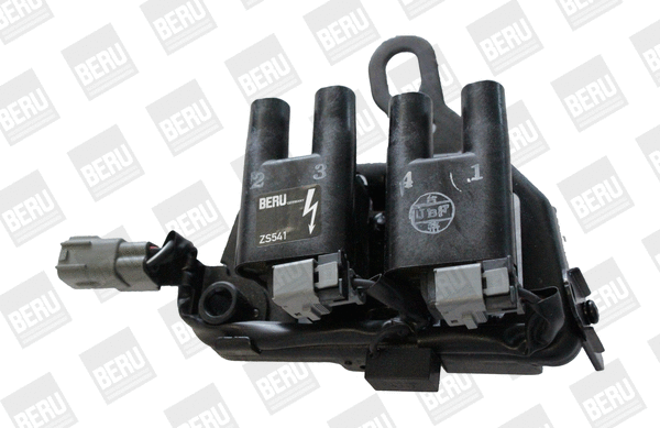 Ignition Coil (WG1756481)