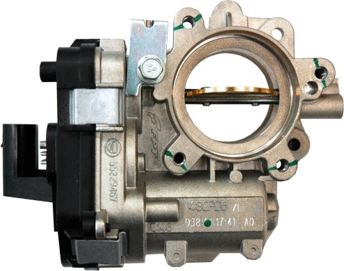Throttle Body (WG1013548)