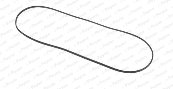 Gasket, cylinder head cover (WG1182744)