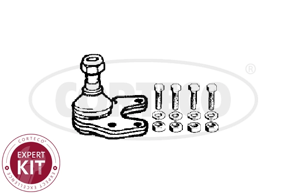 Ball Joint (WG2288291)