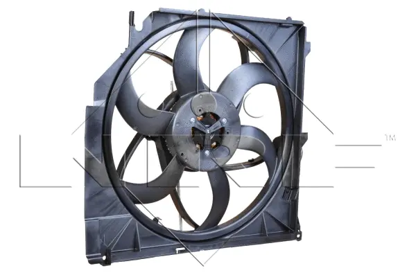 Fan, engine cooling