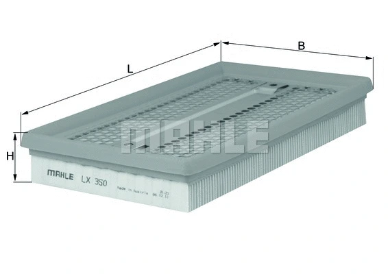 Air Filter (WG1216469)