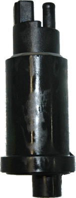 Fuel Pump (WG1012630)