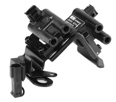 Ignition Coil (WG1487497)