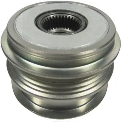 Alternator Freewheel Clutch (WG2262466)