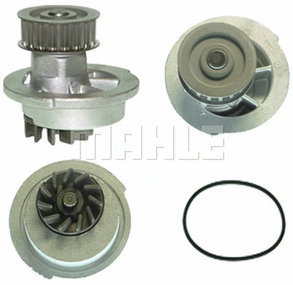 Water Pump, engine cooling (WG2181292)