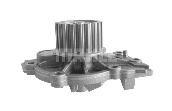 Water Pump, engine cooling (WG2182084)