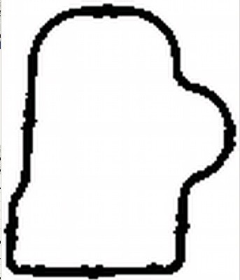 Gasket, intake manifold (WG1764794)
