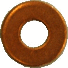 Seal Ring, nozzle holder (WG1012101)
