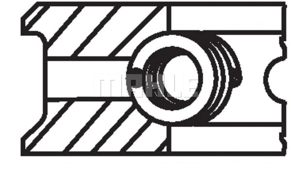 Piston Ring Kit (WG1151034)