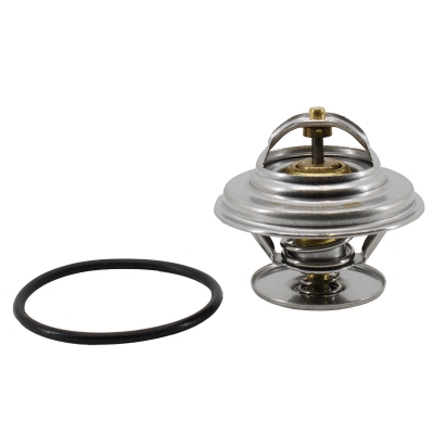 Thermostat, coolant (WG2263231)