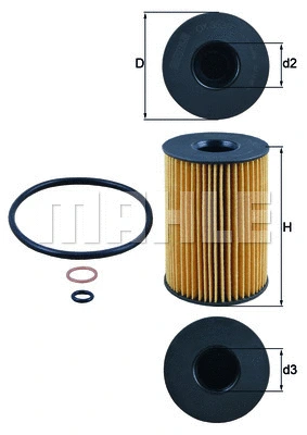 Oil Filter (WG1217364)