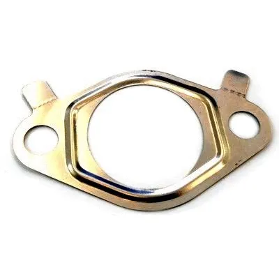 Gasket, EGR valve (WG2262106)
