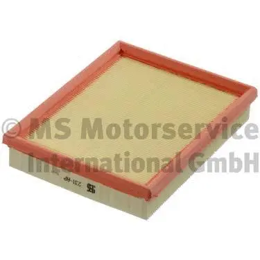Air Filter (WG1018313)