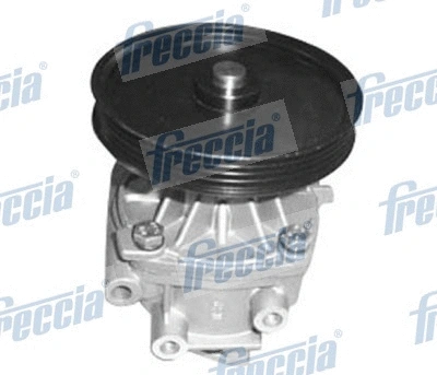 Water Pump, engine cooling (WG1910153)