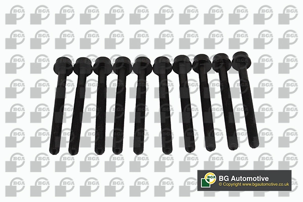 Cylinder Head Bolt Set (WG1907160)