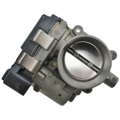 Throttle Body (WG1837550)