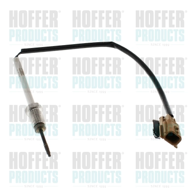 Sensor, exhaust gas temperature (WG2099437)