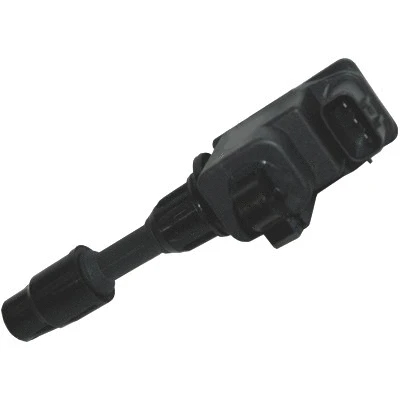 Ignition Coil (WG1012534)