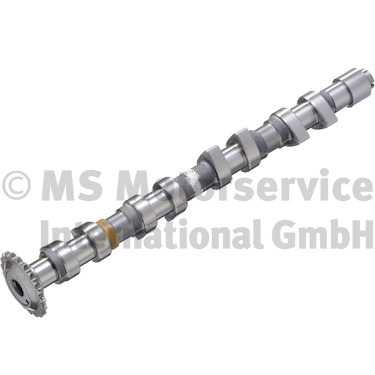 Camshaft (WG1017632)