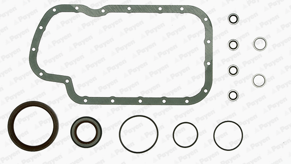 Gasket Kit, crankcase (WG1179938)