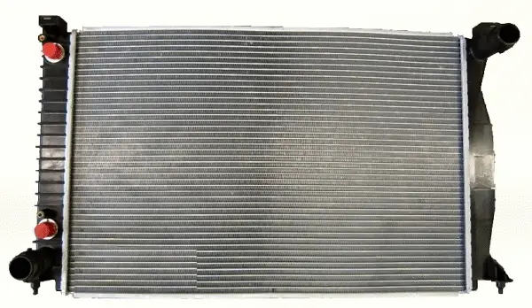 Radiator, engine cooling (WG1722041)