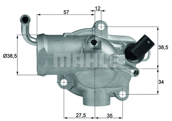 Thermostat, coolant (WG1262793)