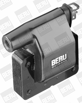 Ignition Coil (WG1487356)