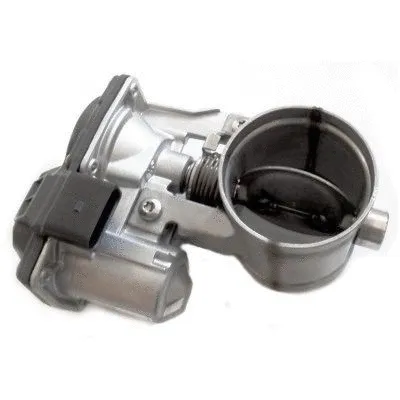Exhaust Gas Door (WG1749381)