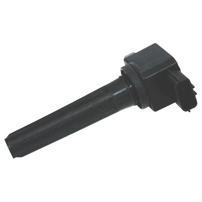 Ignition Coil (WG1012443)