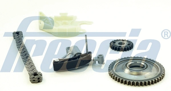 Timing Chain Kit (WG2202979)