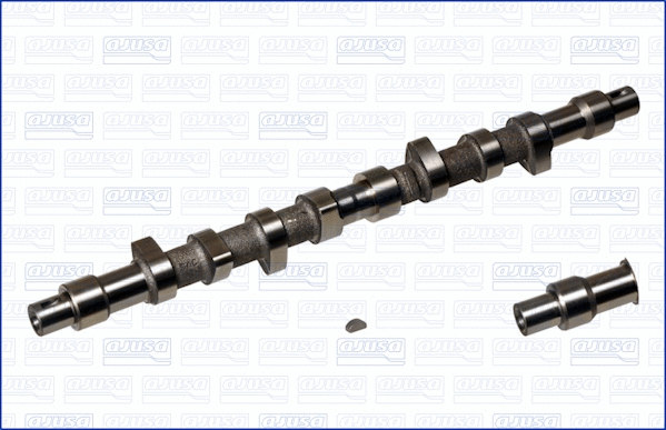 Camshaft (WG1170816)
