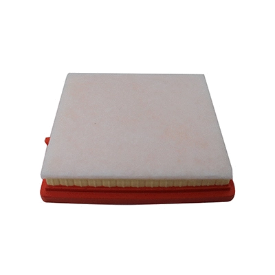 Air Filter (WG2152145)