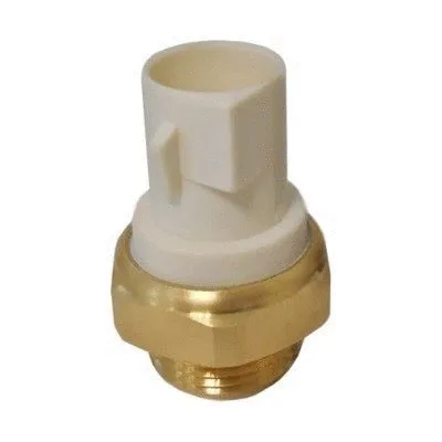 Temperature Switch, radiator fan (WG1748937)