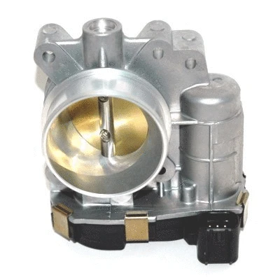 Throttle Body (WG1013603)