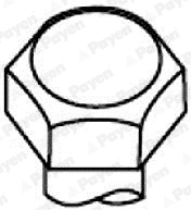 Cylinder Head Bolt Set (WG1093196)