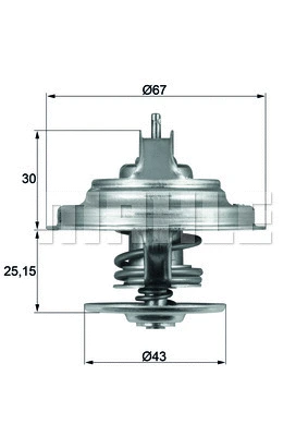 Thermostat, coolant (WG1262739)