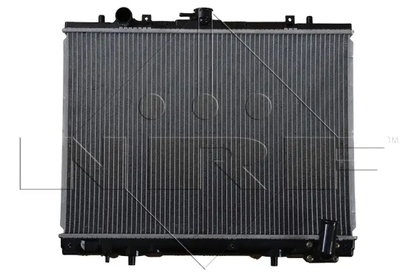 Radiator, engine cooling (WG1721869)
