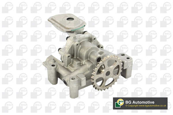 Oil Pump (WG1489920)