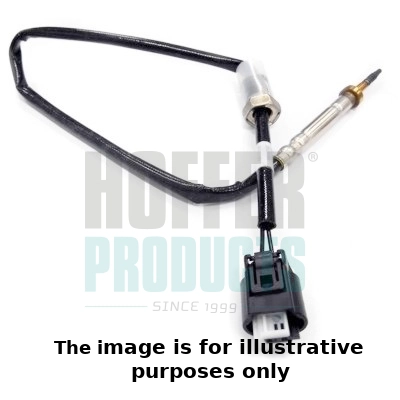 Sensor, exhaust gas temperature (WG1978123)