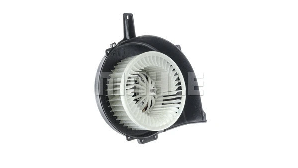 Interior Blower