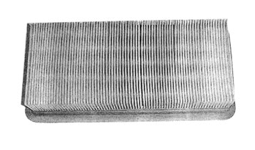 Air Filter (WG1747445)