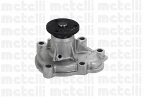 Water Pump, engine cooling (WG1790579)